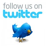 follow-us-on-twitter-bird