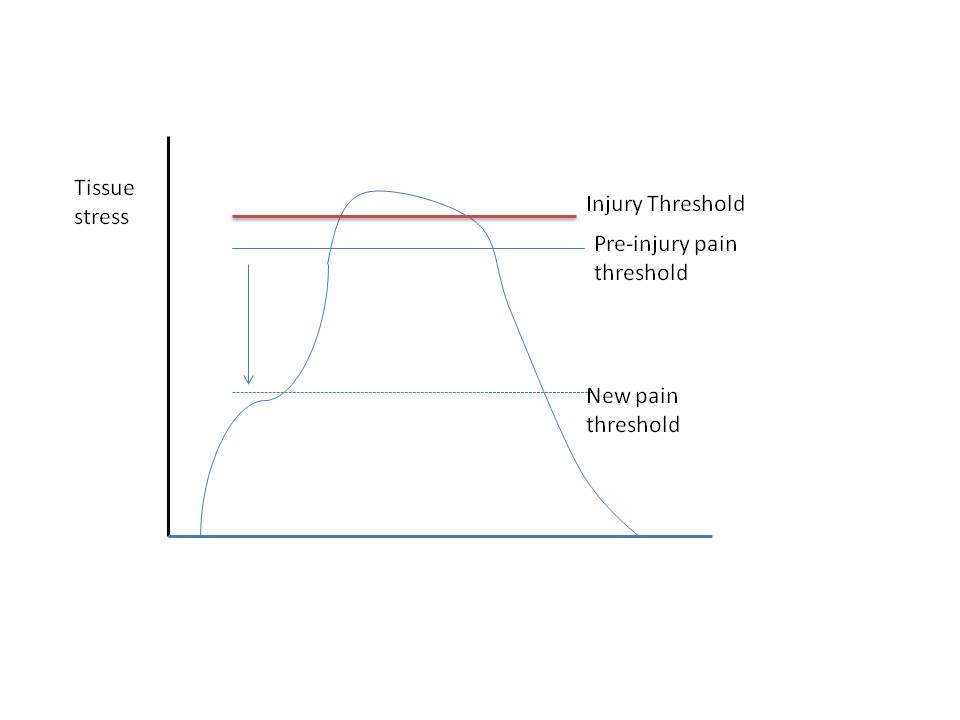 injury and pain thresold