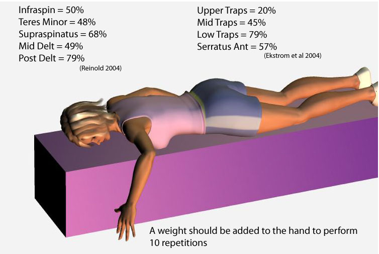 1-prone-ER-at-90-degrees-down-with-numbers