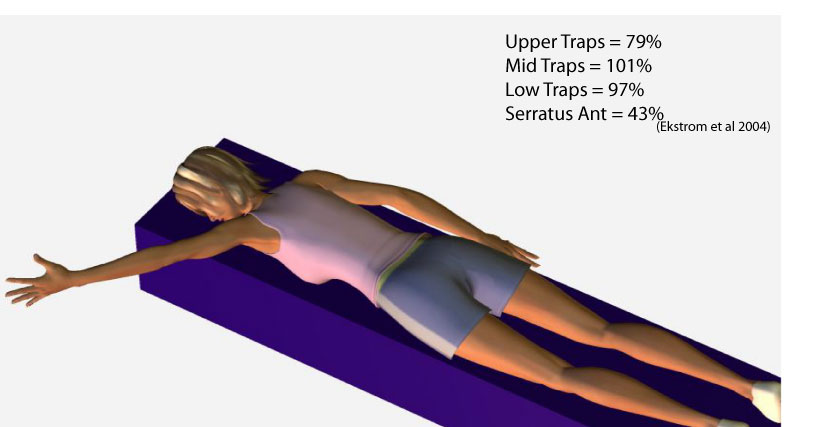 1-prone-horizonal-abduction-at-130-degrees-unilateral