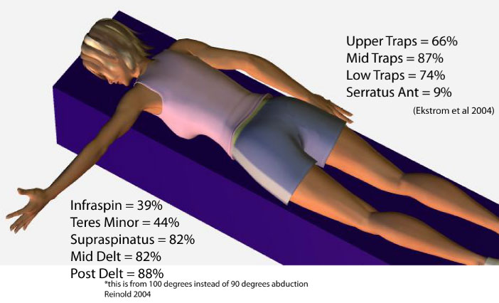 1-prone-horizontal-abduction-unilateral-at-90-degrees